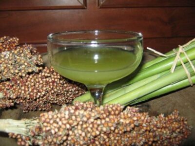Growing and Harvesting Sorghum: Raising Cane and Gettin’ Juiced Image
